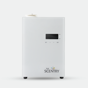 Big Apartments Premium Diffuser